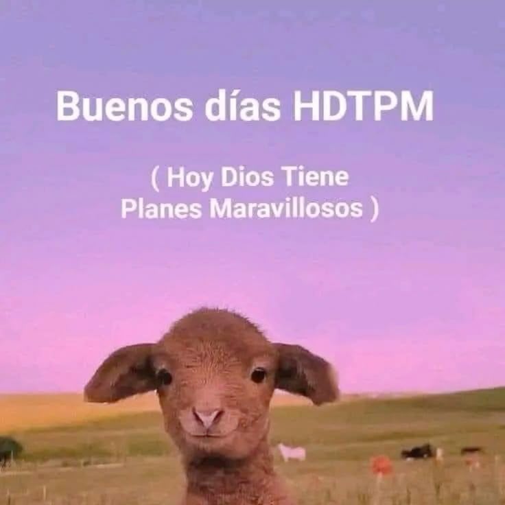 Imagen de Valeria Santana